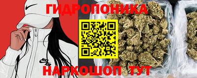 apvp Пенза