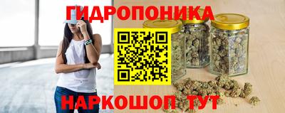 apvp Пенза