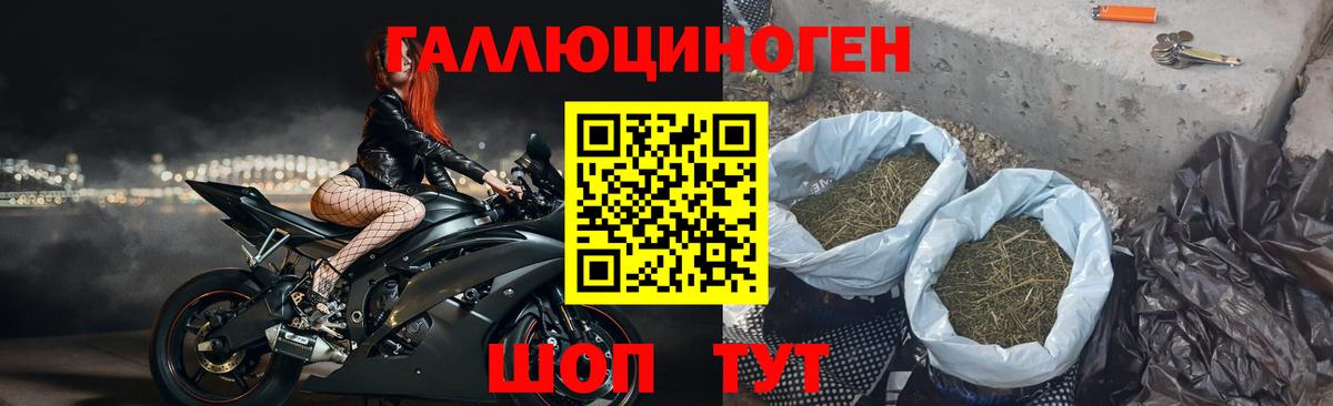 наркота  Галлюциногенные грибы Cubensis  Вход с VPN  Соликамск 